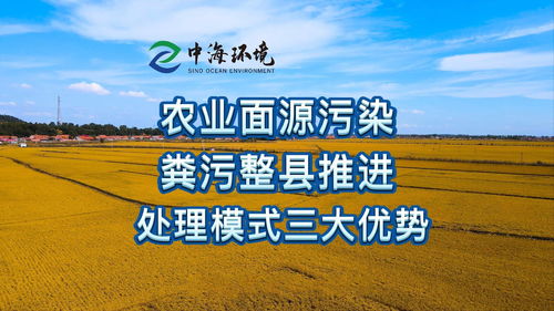 畜禽粪污资源化利用整县推进模式探索与农业面源污染协同防治