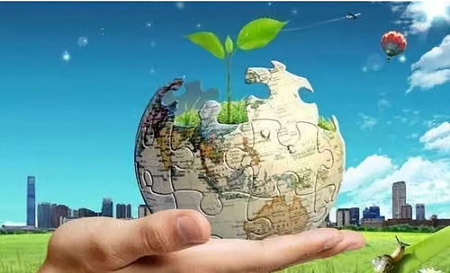 全覆盖核查 零容忍处理 区生态环境分局扎实推进环保税与水环境污染防治服务