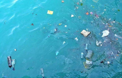 纸吸管何以失宠？用它，还是不用的两难之选——浅析环保时代的现实悖论