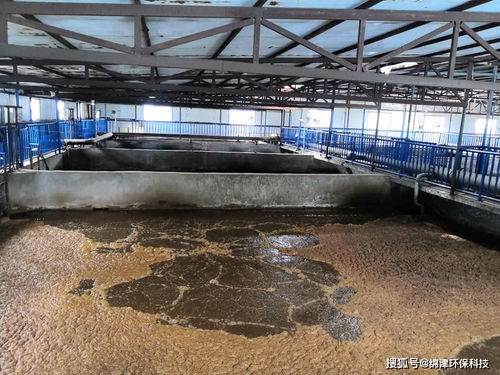 污水生化系统环保管家，绵津环保为企业保驾护航