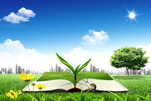 除甲醛方法繁多，哪种效果更佳？浅谈室内空气净化与间接水环境污染防治服务的关联